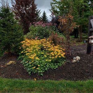 Meet your Posher, Marie